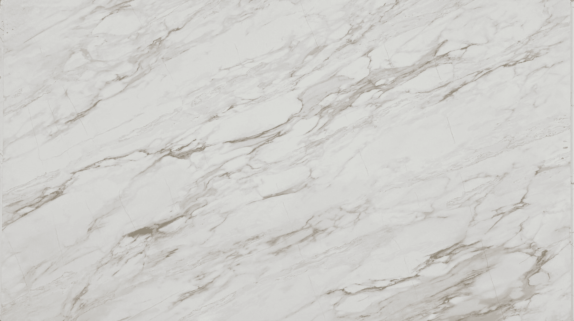 Venato Nuovo full slab