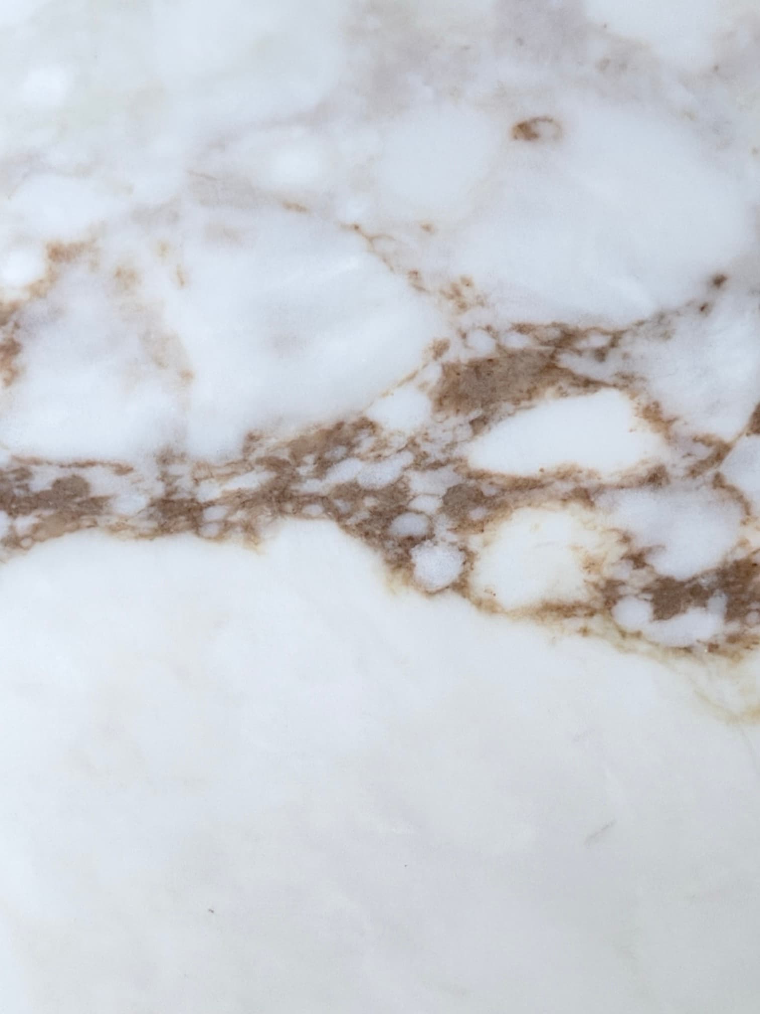 Calacatta Renaissance closeup